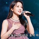 동백아가씨 이미지