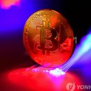 비아01