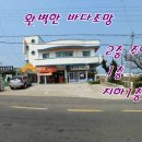 대지 이미지