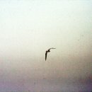 우리내과의원 이미지