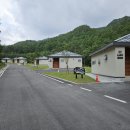 진산자연휴양림 | 국립금산자연휴양림, 신상 휴양림 완벽 가이드! 연립동 &amp; 숲속의집 탐방