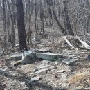 보현산 등산로 이미지