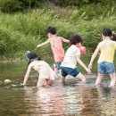 인명구조함-11 뉴시스