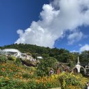 양산신-6015 | 세부 시티투어 가볼만한 곳 : 시라오가든, 레아신전, 아얄라몰 쇼핑 후 막탄공항