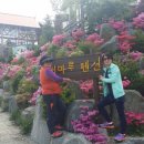 솜니움트리 이미지