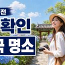 유구읍사무소 화장실 | 공주 수국축제 가기 전 필독: 개화시기·주차·사진 스팟까지 한 번에 정리