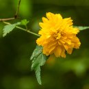 황령산 바람고개 이미지