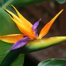 허브꽃농원 이미지