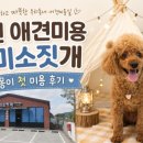 미소짓개 네이버블로그