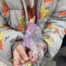 다빛초등학교 이미지