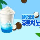 코코치노 이미지
