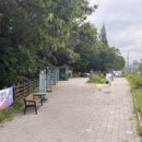 졸음쉼터(양평방향) 네이버블로그