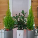 꽃내나라최영희원예치료연구소 | [포항꽃집] 포항 꽃배달 "꽃내나라"