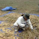 타작마당 이미지