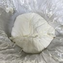 테이크썸윌리