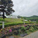 제31회 경기 연천 전곡리 유적지 구석기축제 #1 이미지