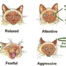 자연앤동물병원 이미지