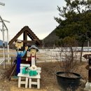 상주애견 이미지