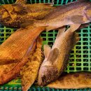 스카이 좌대낚시터 이미지