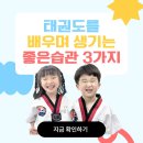 국가대표 스페셜태권도장 이미지