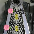 미나민플라워