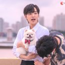 브람스를 좋아하세요 이미지