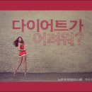 비디랩