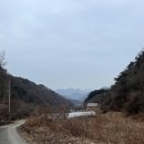 황토펜션 | 단양 촌캉스 숙소추천 숲이랑황토펜션 내돈내산 숙박후기