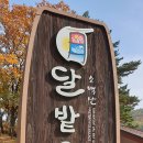 단촌초등학교 네이버블로그