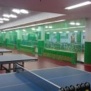 힐링탁구 이미지