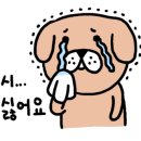 남모터스 이미지