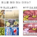 메가원