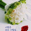 세종의 아침 이미지