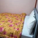 풀빛둥지펜션 이미지