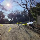 신선대 입구 임도 이미지