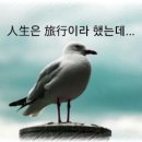 인생여행 이미지