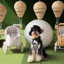 몽이네컷 이미지