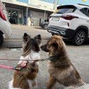 당진닭집 이미지