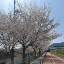 영강체육공원길 이미지