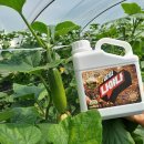 봉동2농장 이미지