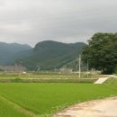 큰골사슴 이미지