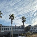 으뜸세탁소 | 제주 더본 호텔 숙박🏢 객실, 부대시설, 빽다방 내돈내산 자세한 후기!