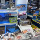 예지수산 이미지