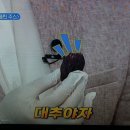 클린DD