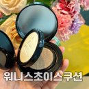 신상쿠션 워니스초이스 듀얼쿠션 요철 싹 지워줌 직접 사용한 후기