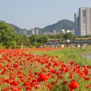 꽃길 - 이천시 신둔면 | 꽃길