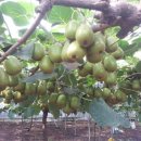 현이네농장 이미지