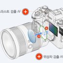 DSLR존 이미지