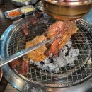 갈비메이트 이미지