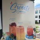 컴포즈 여름 메뉴 제주 선셋/레드 용과 리프레시